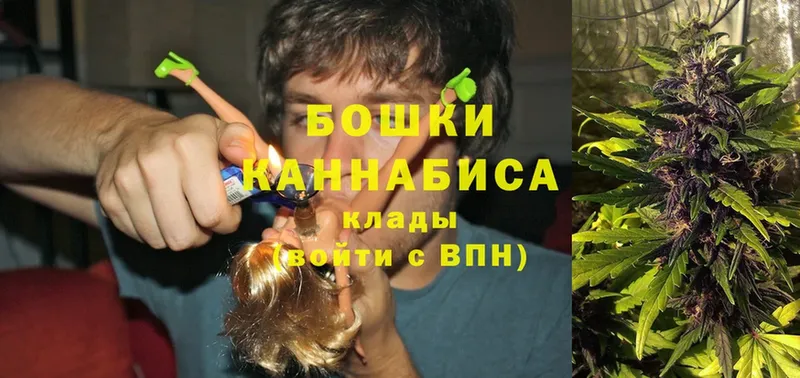 где можно купить   Калтан  Каннабис Ganja 